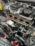 IMG_7098.jpeg